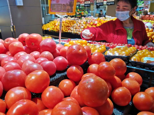 深圳強化食用農產品質量安全監管 批發市場月快檢900次，筑牢全鏈條安全防線